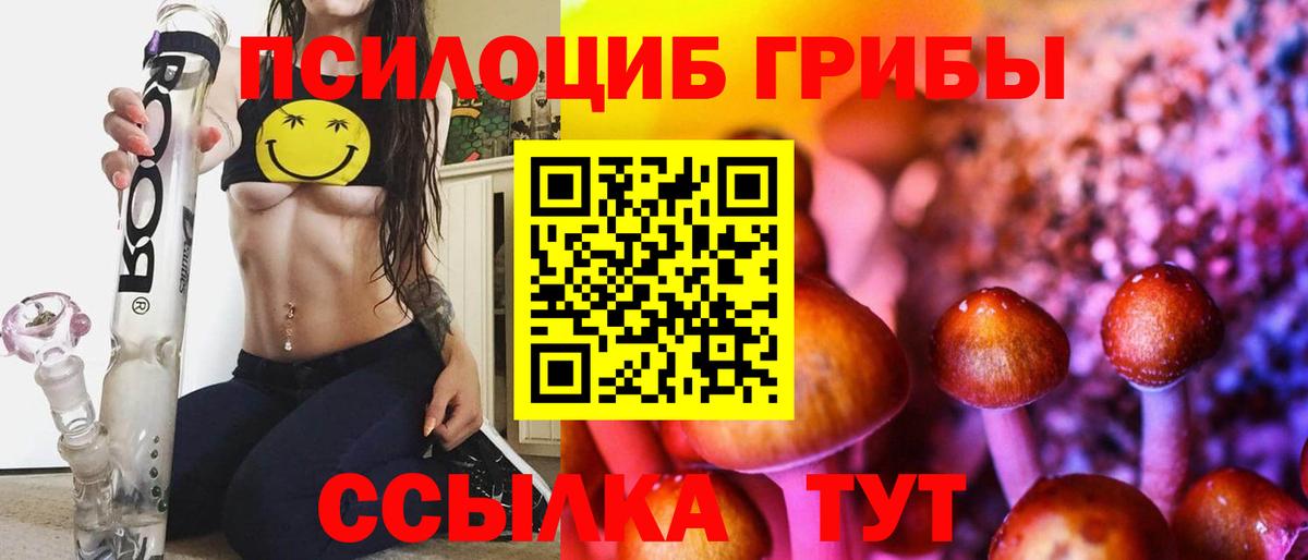 Галлюциногенные грибы ЛСД Лесной