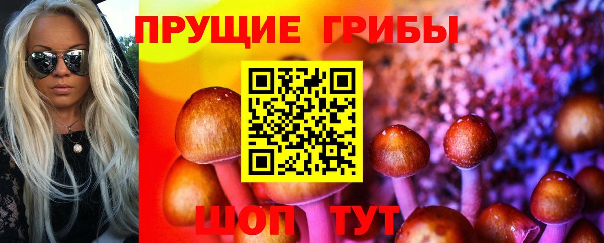 МЕФ Лесной
