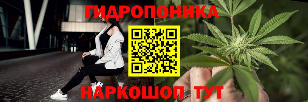 МАРИХУАНА гибрид  Бошки Шишки SATIVA & INDICA  Шишки марихуана гибрид  Лесной  Вход с VPN 